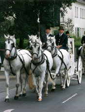 WIR EMPFEHLEN UNS MIT UNSEREN BELIEBTEN <br> HOCHZEITSKUTSCHEN -<br>(SOWOHL GESCHLOSSEN ALS AUCH OFFEN)<br>SCHIMMELGESPANNE -<br>ZWEI- ODER VIERSPÄNNER